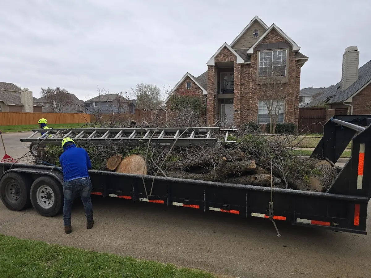 Expert Tree Fertilization with proper safety equipment in Clayton